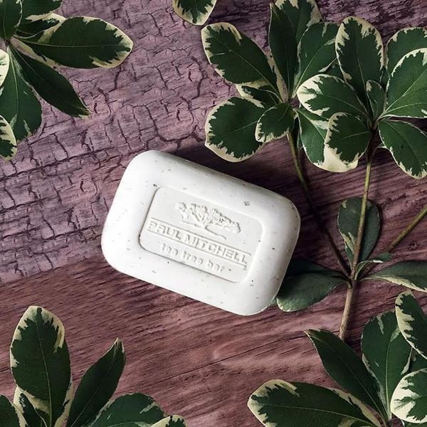 TEA TREE BODY BAR - XÀ PHÒNG TRỊ MỤN TRÊN CƠ THỂ